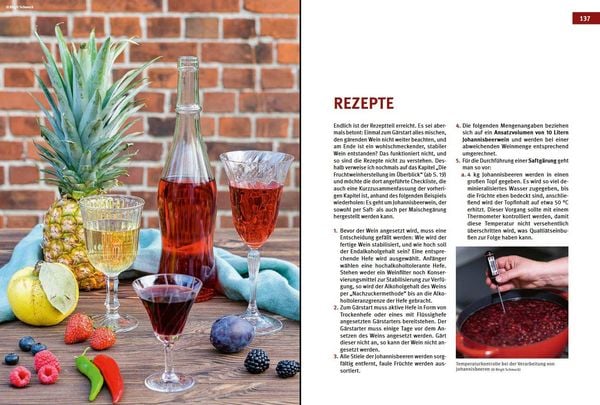 Produktbild: Craft Wine selbst gemacht