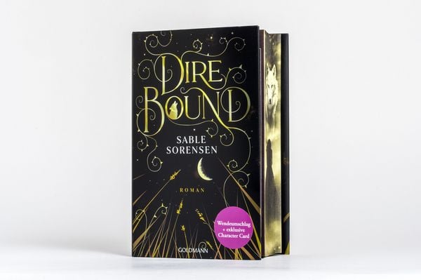 Produktbild: Dire Bound