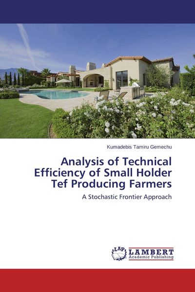 Produktbild: Analysis of Technical Efficiency of Small Holder Tef Producing Farmers