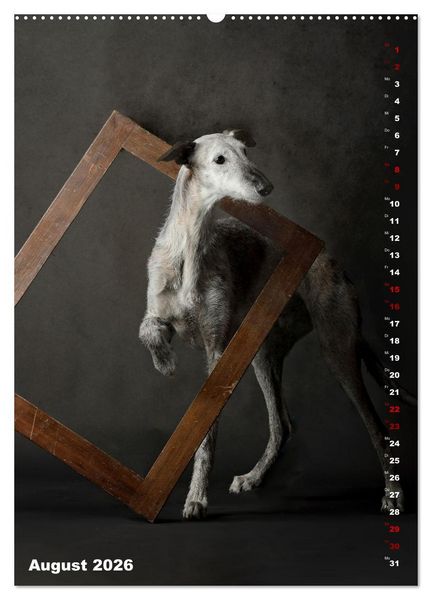Produktbild: dogmuse deluxe (hochwertiger Premium Wandkalender 2026 DIN A2 hoch), Kunstdruck in Hochglanz