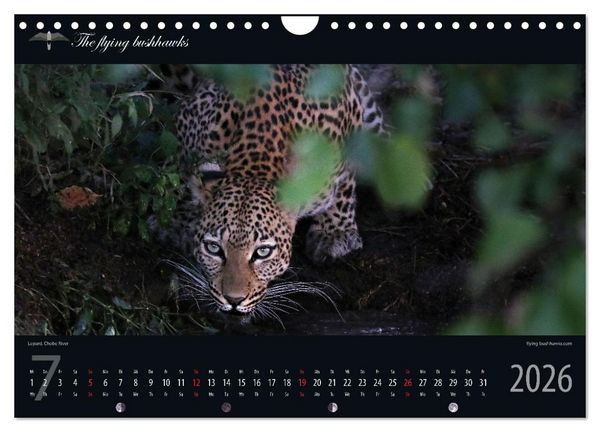 Produktbild: Botswana Blickwinkel 2026 (Wandkalender 2026 DIN A4 quer), CALVENDO Monatskalender
