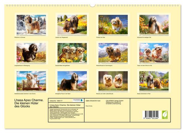 Produktbild: Lhasa Apso Charme. Die kleinen H&uuml;ter des Gl&uuml;cks (hochwertiger Premium Wandkalender 2026 DIN A2 quer), Kunstdruck in Hochglanz