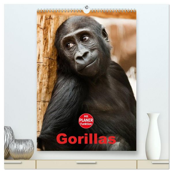 Produktbild: Gorillas (hochwertiger Premium Wandkalender 2026 DIN A2 hoch), Kunstdruck in Hochglanz