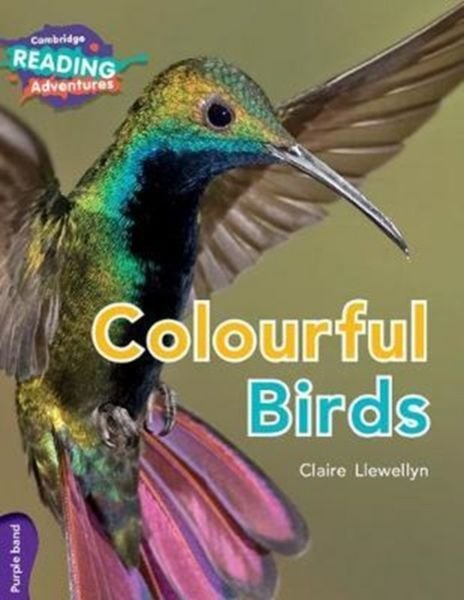 Produktbild: Cambridge Reading Adventures Colourful Birds Purple Band