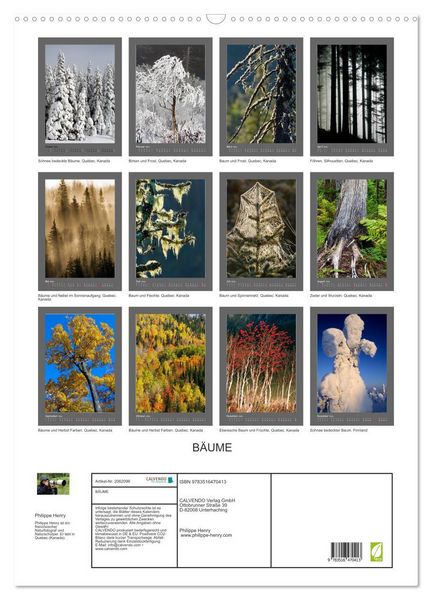 Produktbild: B&Auml;UME (Wandkalender 2026 DIN A2 hoch), CALVENDO Monatskalender