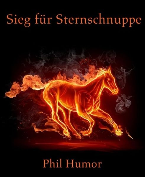 Produktbild: Sieg f&uuml;r Sternschnuppe