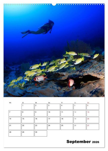 Produktbild: Tauchen - Abtauchen und Staunen (Wandkalender 2026 DIN A2 hoch), CALVENDO Monatskalender