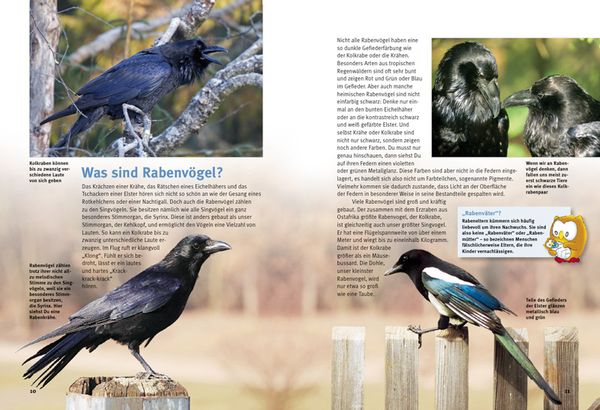Produktbild: Entdecke die Rabenv&ouml;gel