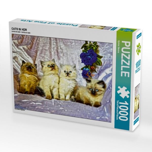 CALVENDO Puzzle CATS IN HDR | 1000 Teile Lege-Größe 64x48cm Foto-Puzzle für glückliche Stunden
