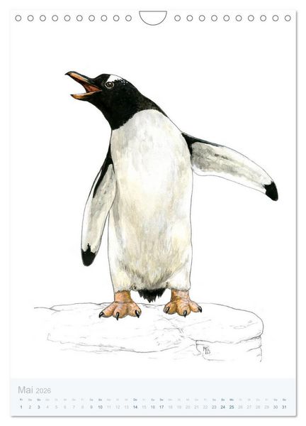 Produktbild: Pinguine - 13 Illustrationen (Wandkalender 2026 DIN A4 hoch), CALVENDO Monatskalender