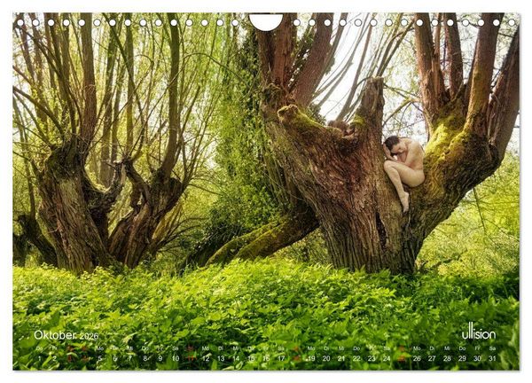 Produktbild: Lieblingsb&auml;ume - eins mit der Natur (Wandkalender 2026 DIN A4 quer), CALVENDO Monatskalender