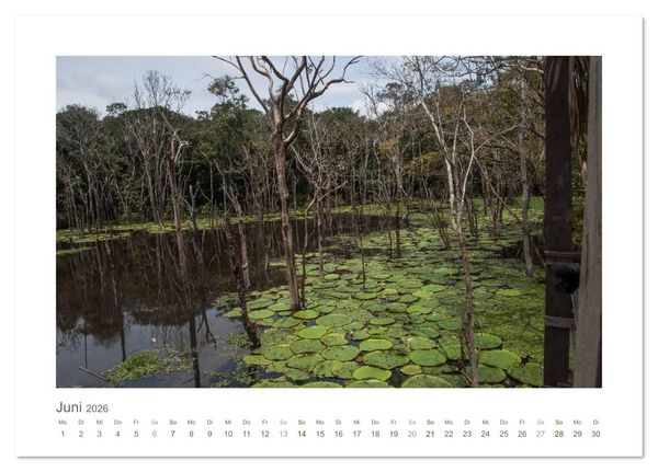 Produktbild: Amazonas, eine Reise entlang seiner Ufer (Tischkalender 2026 DIN A5 quer), CALVENDO Monatskalender
