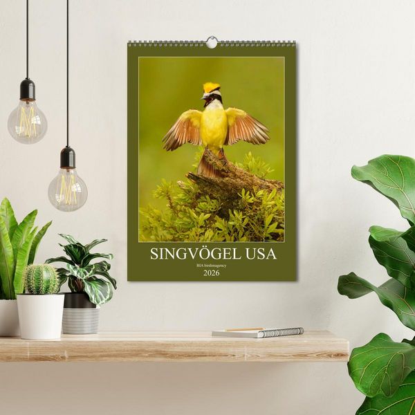 Produktbild: Singv&ouml;gel USA (Wandkalender 2026 DIN A3 hoch), CALVENDO Monatskalender