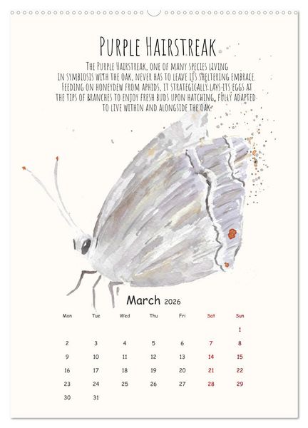 Produktbild: Symbiosis, the story of collaborations in nature (Wall Calendar 2026 DIN A2 portrait), CALVENDO 12 Month Wall Calendar