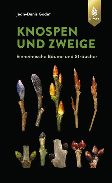 Produktbild: Knospen und Zweige