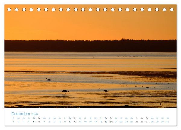 Produktbild: Schwedens Seen (Tischkalender 2026 DIN A5 quer), CALVENDO Monatskalender