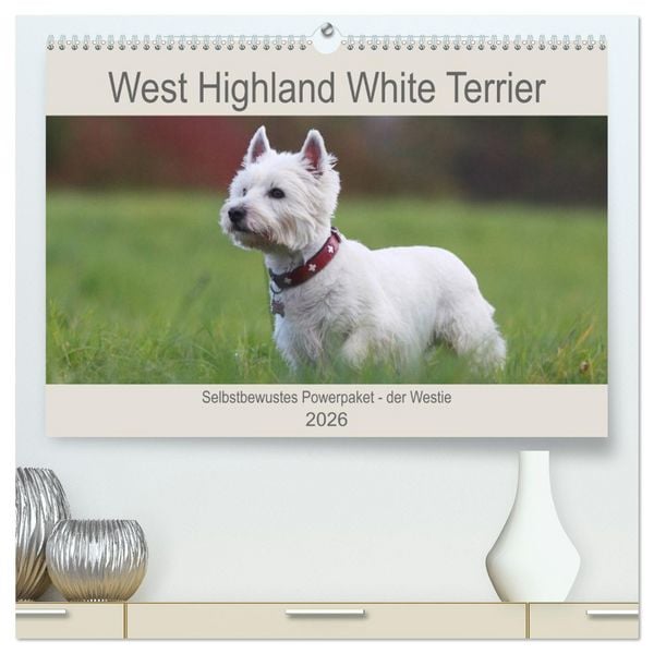 Produktbild: West Highland White Terrier - Selbstbewustes Powerpaket - der Westie (hochwertiger Premium Wandkalender 2026 DIN A2 quer), Kunstdruck in Hochglanz
