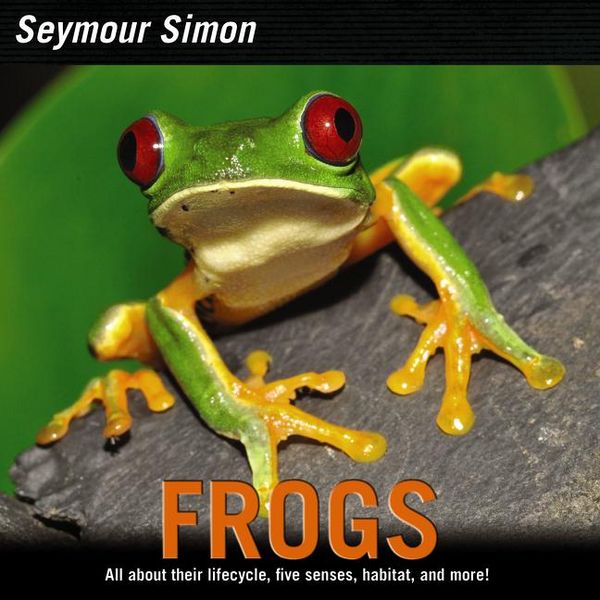 Produktbild: Simon, S: Frogs
