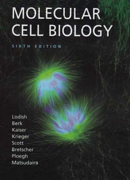 Produktbild: Molecular Cell Biology & eBook