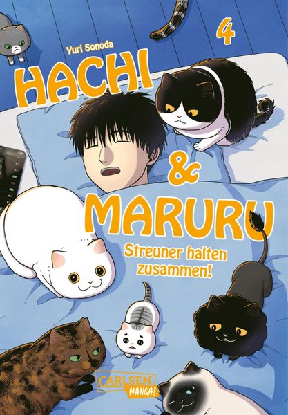 Produktbild: Hachi & Maruru - Streuner halten zusammen! 4
