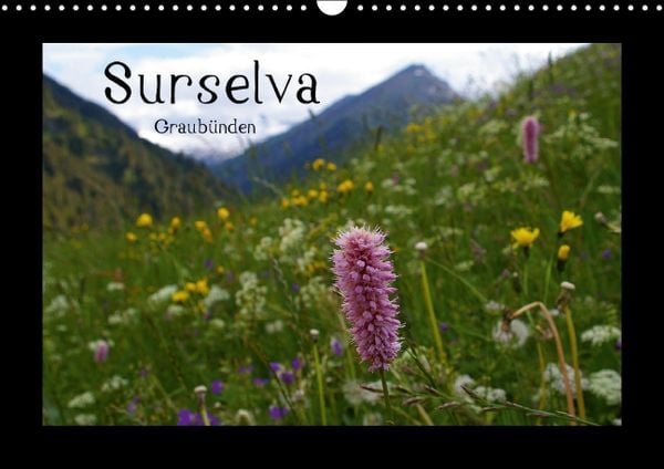 Produktbild: Surselva - Graub&uuml;nden (Wandkalender immerw&auml;hrend DIN A3 quer)