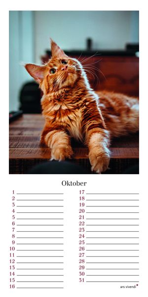 Produktbild: Geburtstagskalender Katzen
