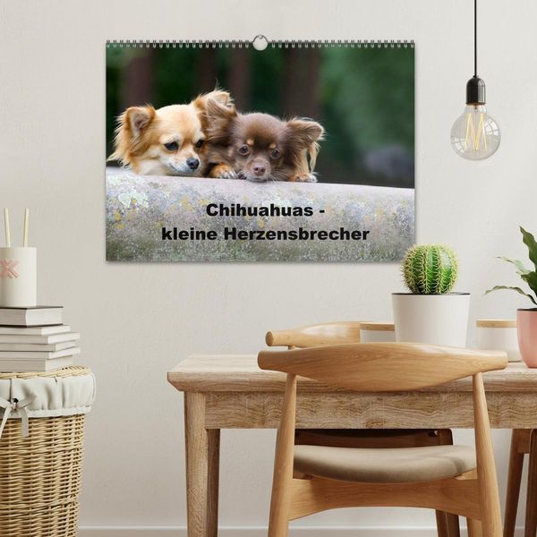 Produktbild: Chihuahuas - kleine Herzensbrecher (Wandkalender 2026 DIN A3 quer), CALVENDO Monatskalender