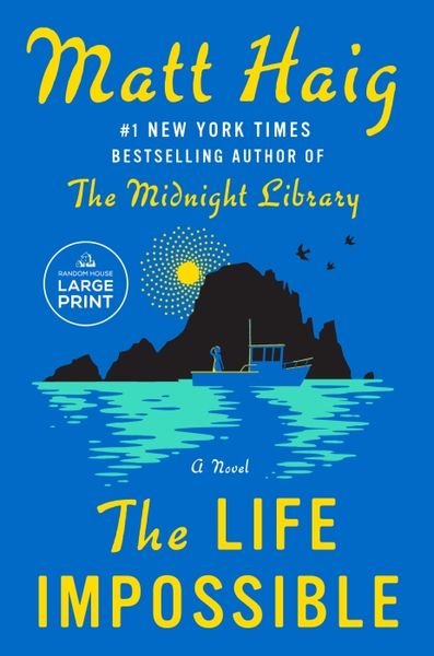 Produktbild: The Life Impossible