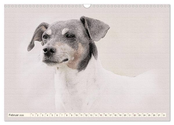 Produktbild: Bodeguero Andaluz 2026 (Wandkalender 2026 DIN A3 quer), CALVENDO Monatskalender