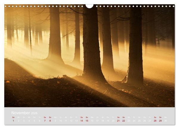 Produktbild: Im Lichtglanz der Jahreszeiten (Wandkalender 2026 DIN A3 quer), CALVENDO Monatskalender
