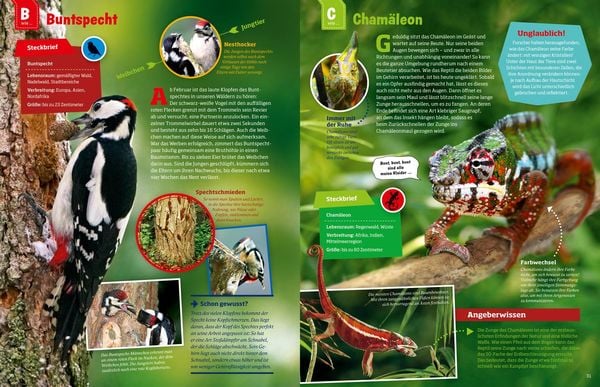 Produktbild: WAS IST WAS Geniale Tiere ... und ihre Tricks
