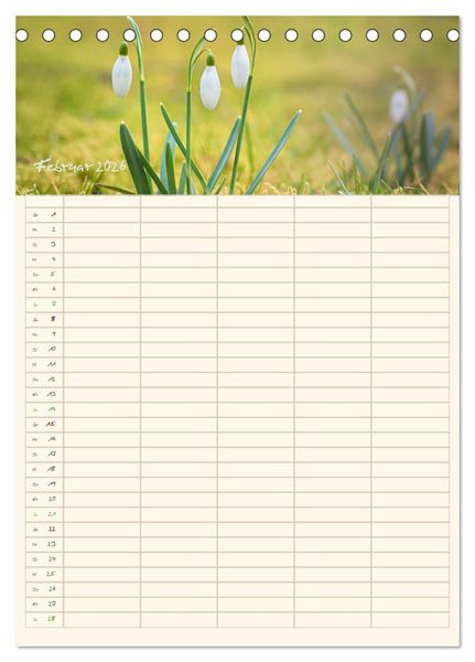 Produktbild: Mit Blick in den Garten (Tischkalender 2026 DIN A5 hoch), CALVENDO Monatskalender