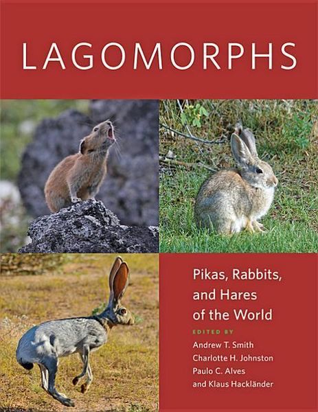 Produktbild: Lagomorphs