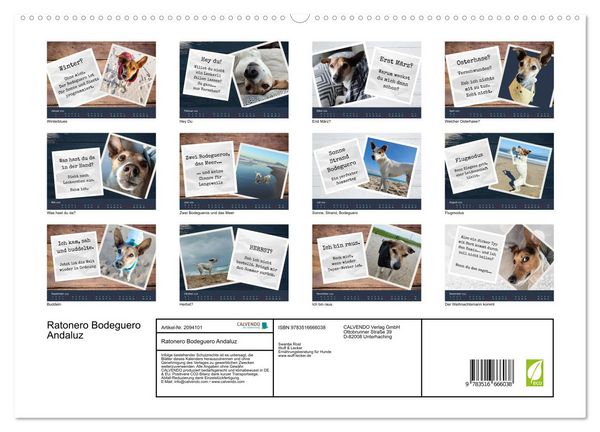 Produktbild: Ratonero Bodeguero Andaluz (hochwertiger Premium Wandkalender 2026 DIN A2 quer), Kunstdruck in Hochglanz