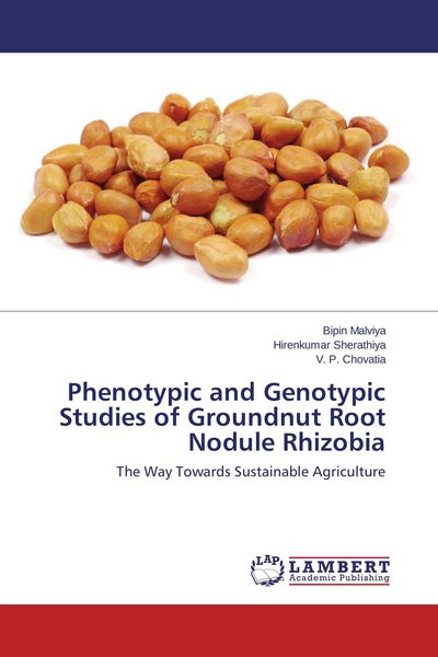 Produktbild: Phenotypic and Genotypic Studies of Groundnut Root Nodule Rhizobia