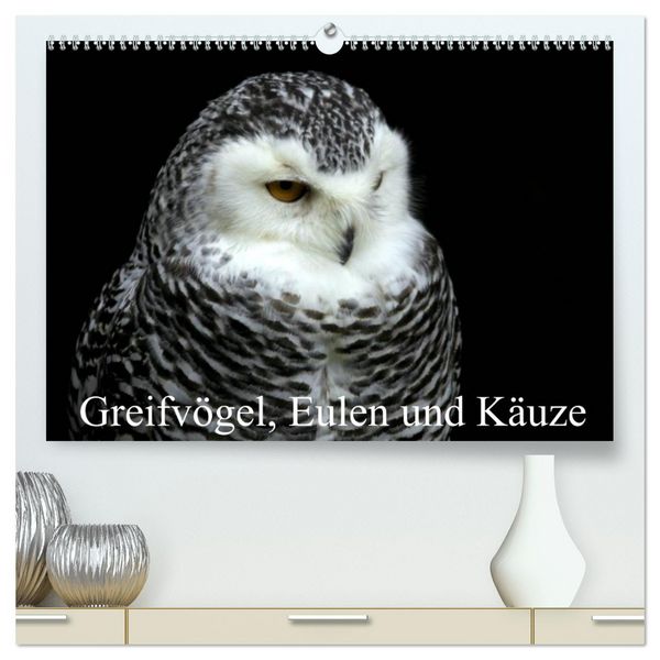 Produktbild: Greifv&ouml;gel, Eulen und K&auml;uze (hochwertiger Premium Wandkalender 2026 DIN A2 quer), Kunstdruck in Hochglanz