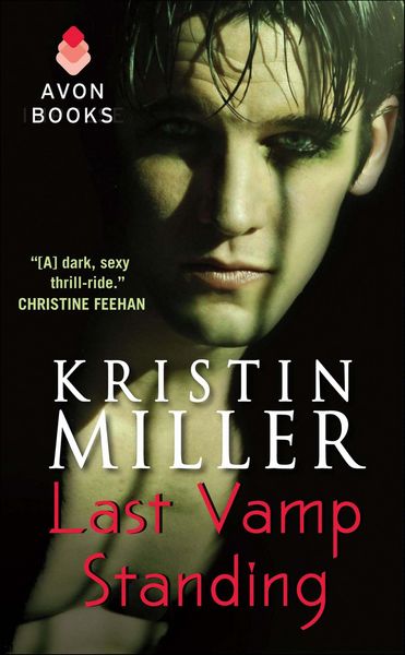 Produktbild: Last Vamp Standing