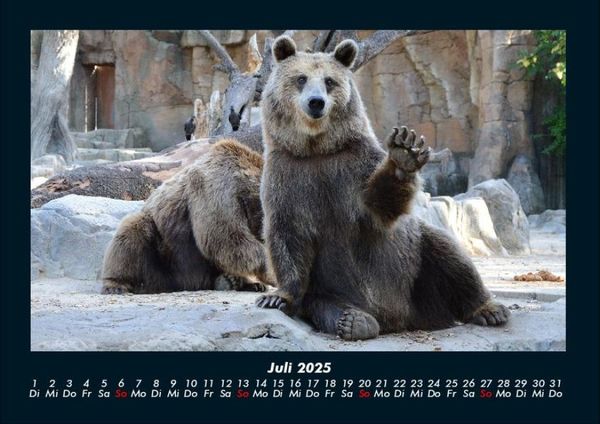 Produktbild: Tierkalender 2025 Fotokalender DIN A4