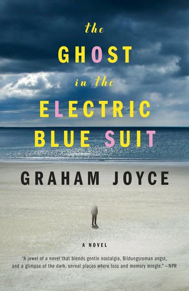 Produktbild: The Ghost in the Electric Blue Suit