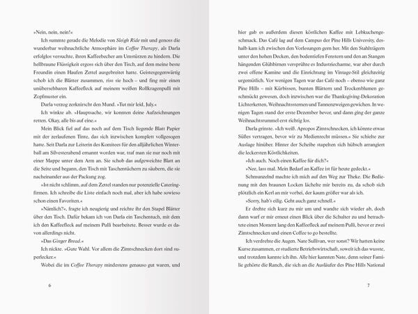 Winter Wishes. Ein Adventskalender. Lovestorys für 24 Tage plus Silvester-Special