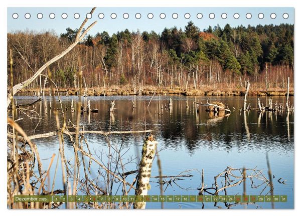 Produktbild: Das Regenmoor auf der Baar (Tischkalender 2026 DIN A5 quer), CALVENDO Monatskalender