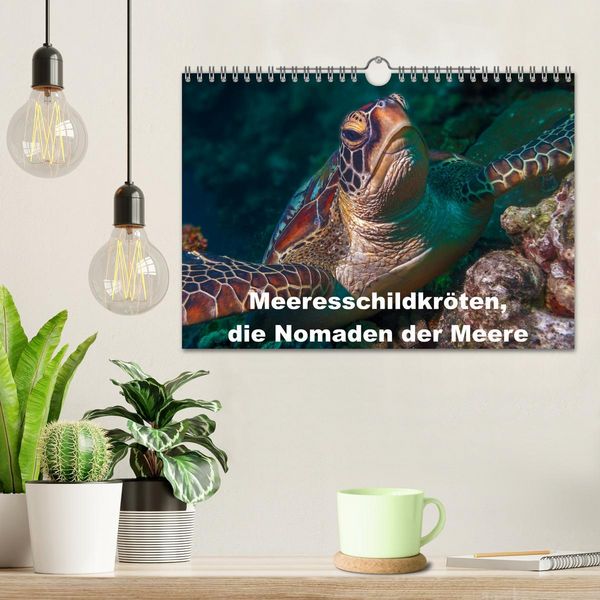 Produktbild: Meeresschildkr&ouml;ten, die Nomaden der Meere (Wandkalender 2026 DIN A4 quer), CALVENDO Monatskalender