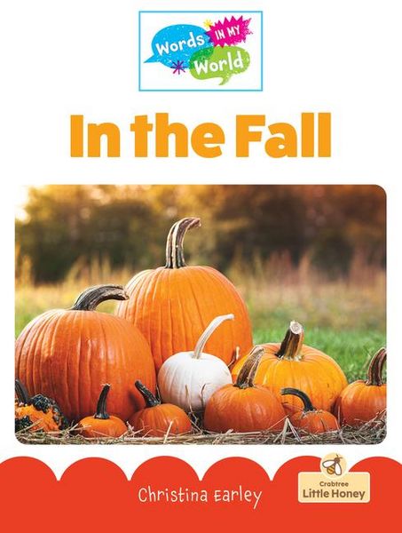 Produktbild: In the Fall