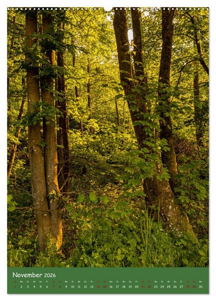 Produktbild: Ich bin dann mal im Wald (hochwertiger Premium Wandkalender 2026 DIN A2 hoch), Kunstdruck in Hochglanz