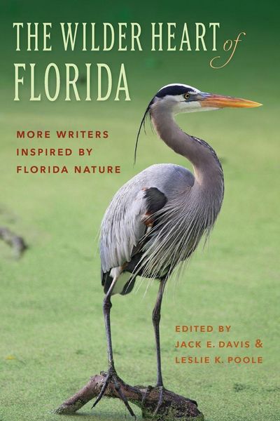 Produktbild: The Wilder Heart of Florida