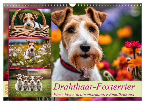 Drahthaar-Foxterrier (Wandkalender 2026 DIN A3 quer), CALVENDO Monatskalender