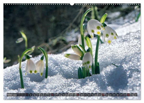 Produktbild: Mein Donautal (hochwertiger Premium Wandkalender 2026 DIN A2 quer), Kunstdruck in Hochglanz