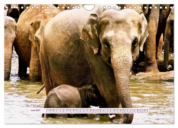 Produktbild: Silent Heart of Asia (Wall Calendar 2027 DIN A4 landscape), CALVENDO 12 Month Wall Calendar