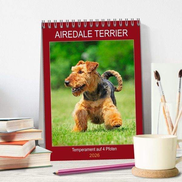 Produktbild: Airedale Terrier - Temperament auf 4 Pfoten (Tischkalender 2026 DIN A5 hoch), CALVENDO Monatskalender