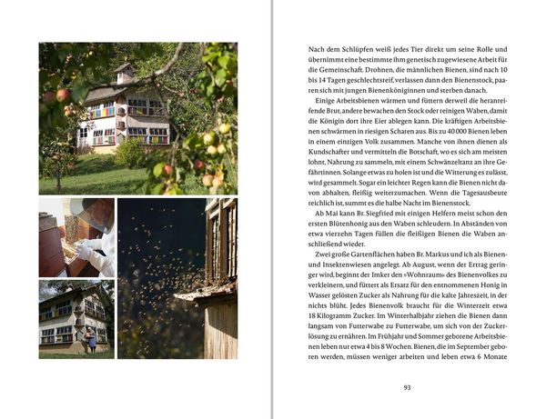 Produktbild: Das Gl&uuml;ck w&auml;chst im Garten